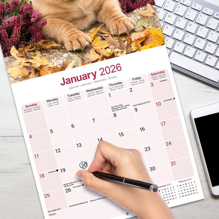 Dogue de Bordeaux 2026 Square Wall Calendar (Online Exclusive)