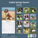 English Springer Spaniel Euro 2026 Square Wall Calendar