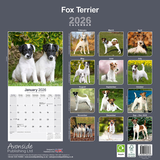 Fox Terrier 2026 Square Wall Calendar (Online Exclusive)