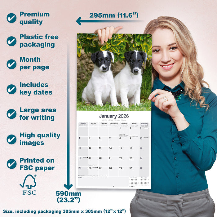 Fox Terrier 2026 Square Wall Calendar (Online Exclusive)