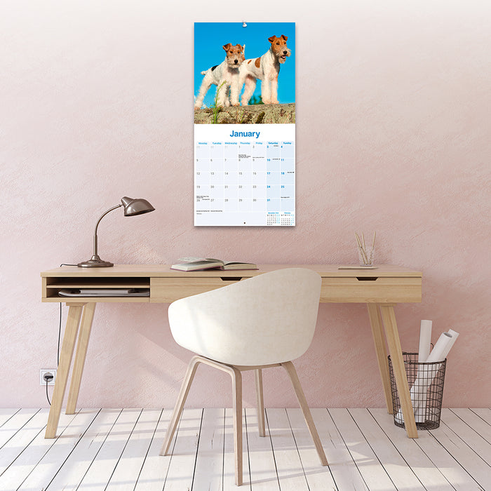 Fox Terrier Wirehaired 2026 Square Wall Calendar (Online Exclusive)