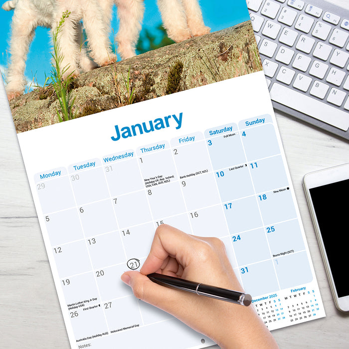 Fox Terrier Wirehaired 2026 Square Wall Calendar (Online Exclusive)