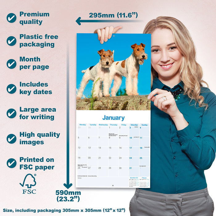 Fox Terrier Wirehaired 2026 Square Wall Calendar (Online Exclusive)