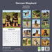 German Shepherd 2026 Square Wall Calendar