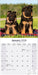 German Shepherd 2026 Square Wall Calendar