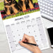 German Shepherd 2026 Square Wall Calendar