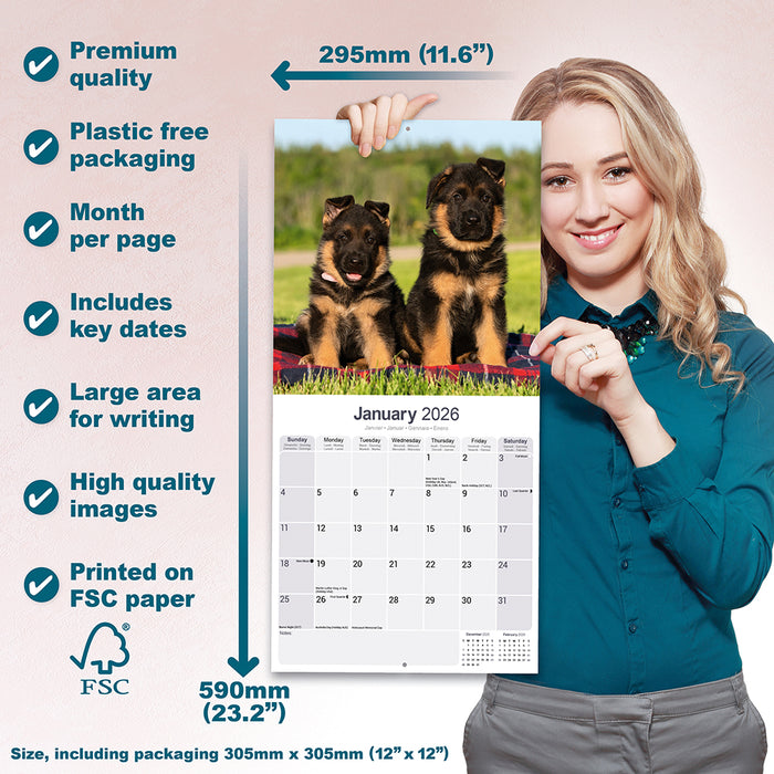 German Shepherd 2026 Square Wall Calendar