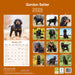 Gordon Setter 2026 Square Wall Calendar (Online Exclusive)