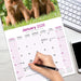Irish Setter 2026 Square Wall Calendar (Online Exclusive)