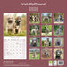 Irish Wolfhound 2026 Square Wall Calendar (Online Exclusive)
