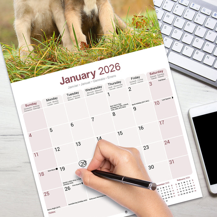 Irish Wolfhound 2026 Square Wall Calendar (Online Exclusive)