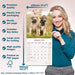 Irish Wolfhound 2026 Square Wall Calendar (Online Exclusive)