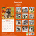 Keeshond 2026 Square Wall Calendar