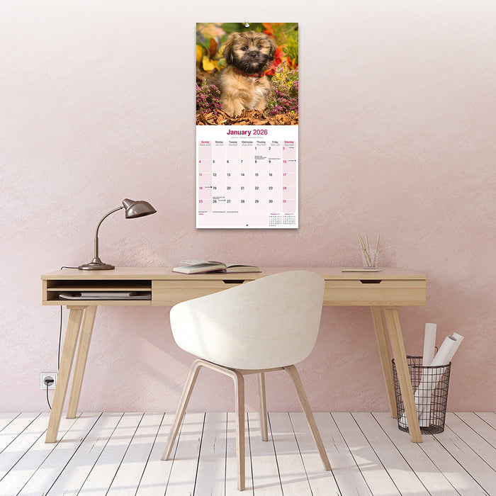 Lhasa Apso 2026 Square Wall Calendar (Online Exclusive)