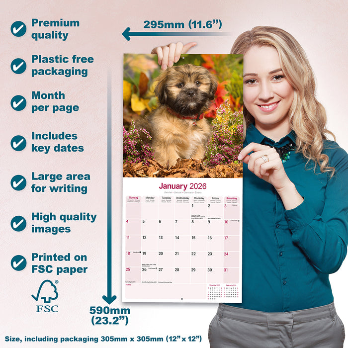 Lhasa Apso 2026 Square Wall Calendar (Online Exclusive)