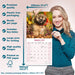 Lhasa Apso 2026 Square Wall Calendar (Online Exclusive)