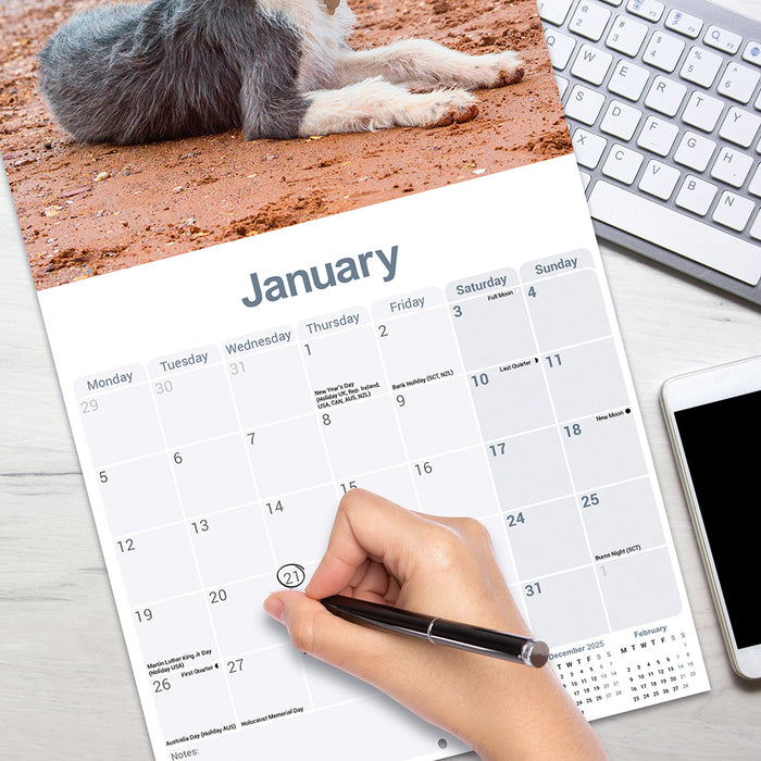 Lurcher 2026 Square Wall Calendar (Online Exclusive)