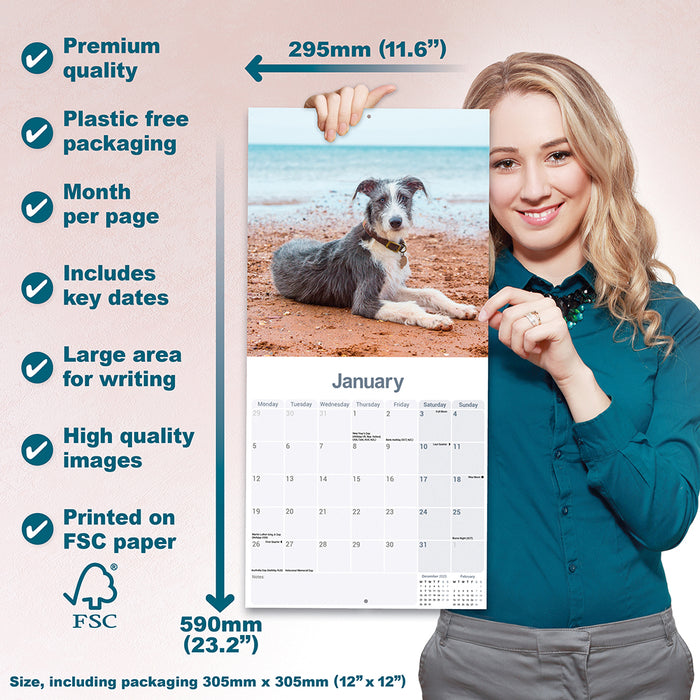 Lurcher 2026 Square Wall Calendar (Online Exclusive)