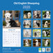 Old English Sheepdog 2026 Square Wall Calendar