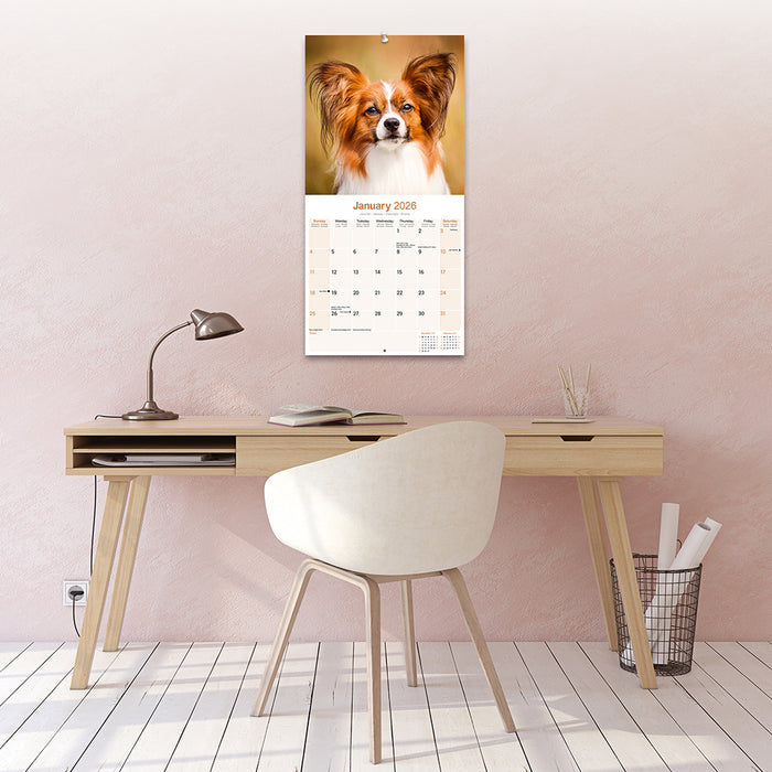 Papillon 2026 Square Wall Calendar