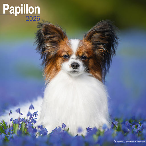 Papillon 2026 Square Wall Calendar