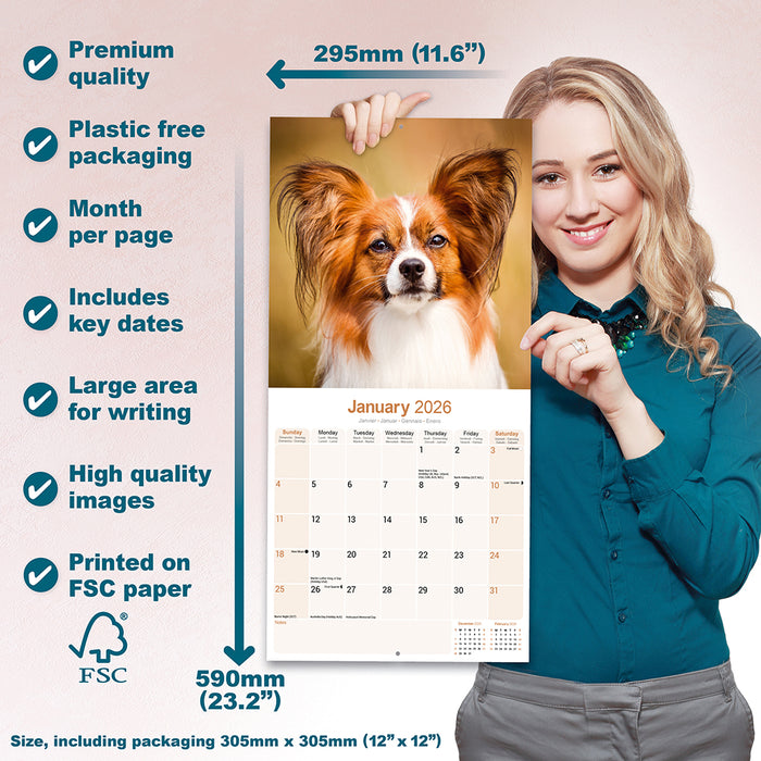 Papillon 2026 Square Wall Calendar