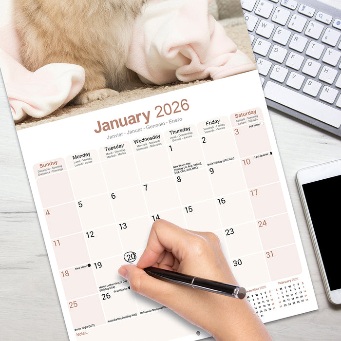 Pekingese 2026 Square Wall Calendar