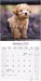 Toy and Miniature Poodle 2026 Square Wall Calendar
