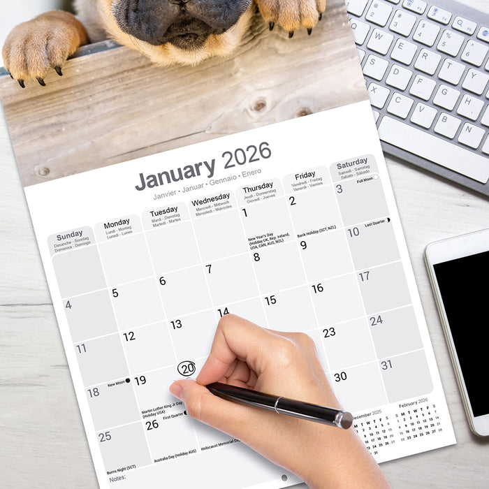 Shar Pei 2026 Square Wall Calendar (Online Exclusive)