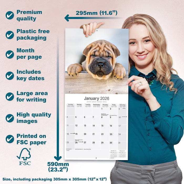 Shar Pei 2026 Square Wall Calendar (Online Exclusive)