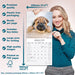 Shar Pei 2026 Square Wall Calendar (Online Exclusive)