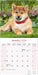 Shiba Inu 2026 Square Wall Calendar