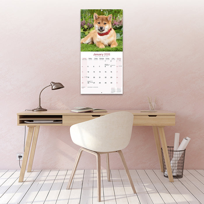 Shiba Inu 2026 Square Wall Calendar