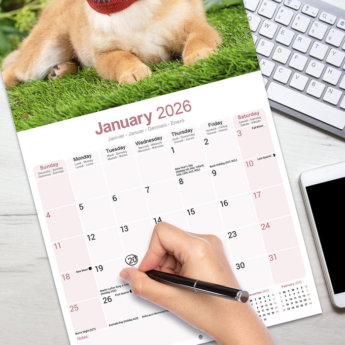 Shiba Inu 2026 Square Wall Calendar