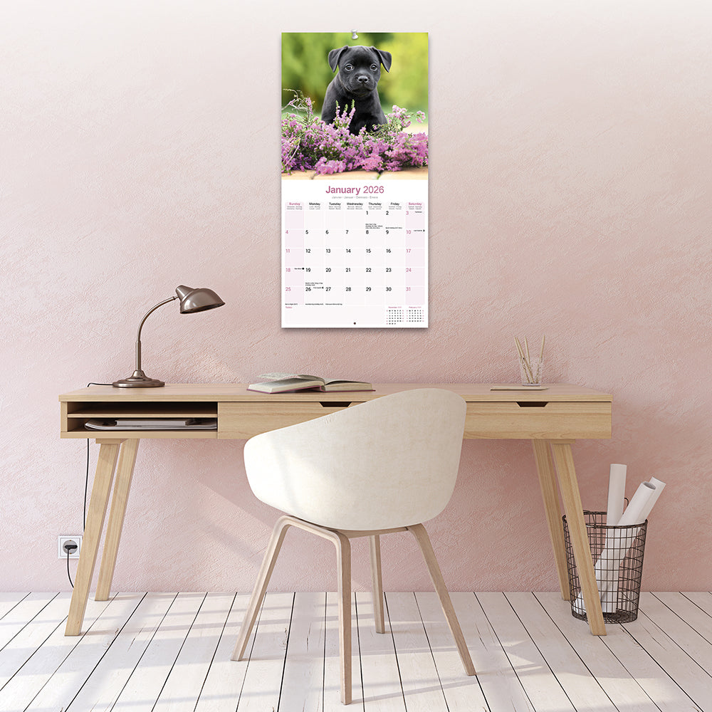 Shop Square Wall Calendars
