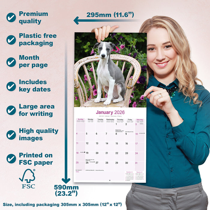 Whippet 2026 Square Wall Calendar