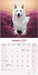 White Shepherd 2026 Square Wall Calendar (Online Exclusive)
