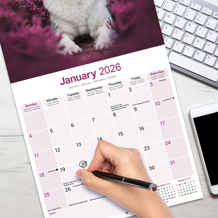 White Shepherd 2026 Square Wall Calendar (Online Exclusive)