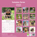 Yorkshire Terrier 2026 Square Wall Calendar