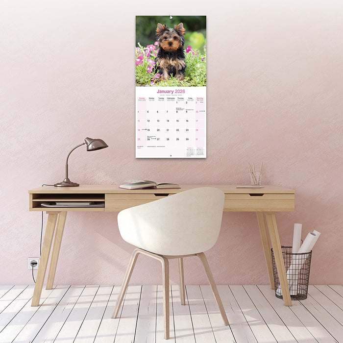 Yorkshire Terrier 2026 Square Wall Calendar