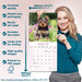 Yorkshire Terrier 2026 Square Wall Calendar