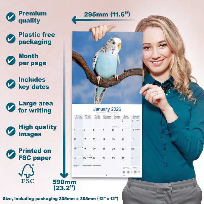 Budgerigar 2026 Square Wall Calendar (Online Exclusive)