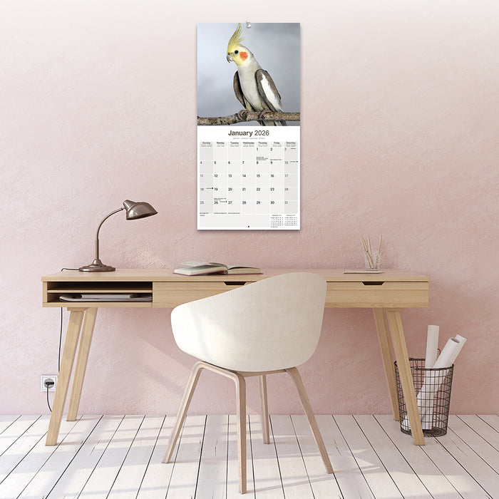 Cockatiels 2026 Square Wall Calendar (Online Exclusive)