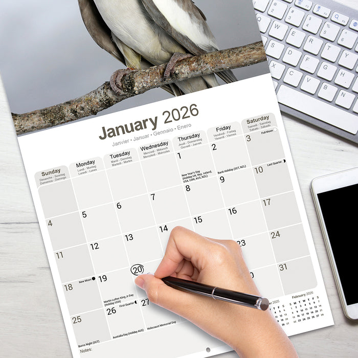 Cockatiels 2026 Square Wall Calendar (Online Exclusive)