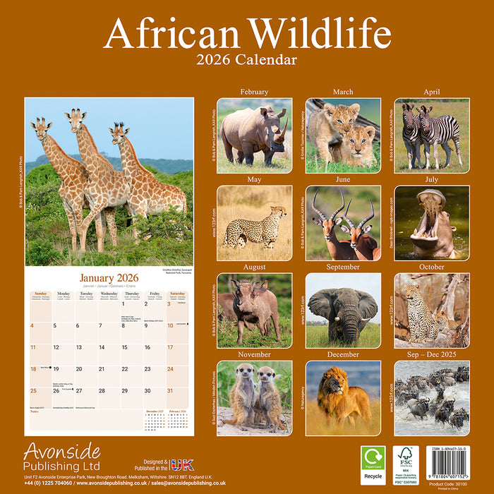 African Wildlife 2026 Square Wall Calendar