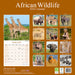 African Wildlife 2026 Square Wall Calendar