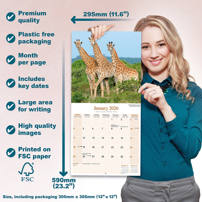 African Wildlife 2026 Square Wall Calendar