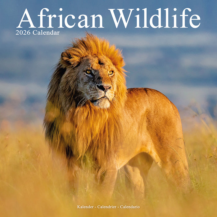 African Wildlife 2026 Square Wall Calendar