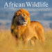 African Wildlife 2026 Square Wall Calendar