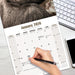 Apes 2026 Square Wall Calendar (Online Exclusive)